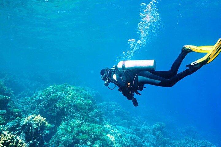 Antalya / Kemer : Scuba Diving For Beginners w/ Lunch & Transfer