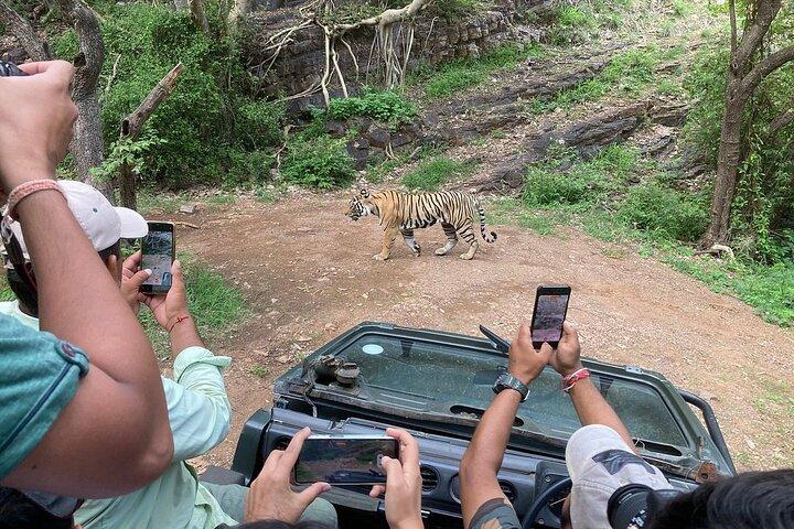 Ranthambore Tiger Reserve Private Gypsy Safari All inclusive