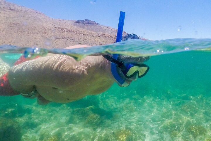 Espíritu Santo Island: snorkel SEA LIONS and Balandra Small Group