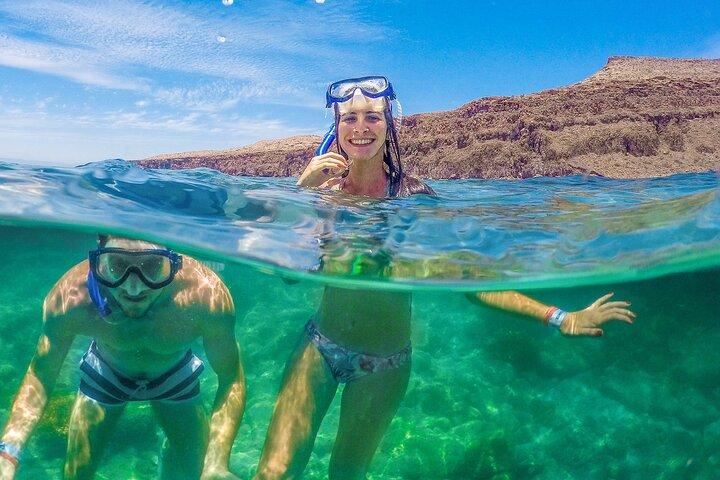 Espíritu Santo Island: snorkel SEA LIONS and Balandra Small Group