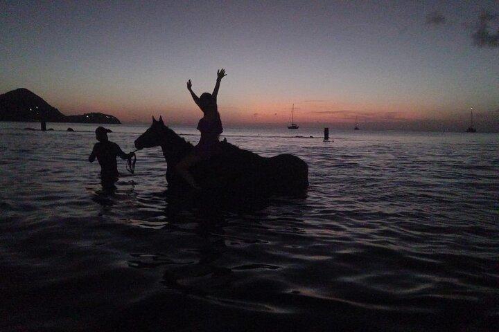 2 Hour Horseback Riding Sunset Tour with Dore's Riding Stable