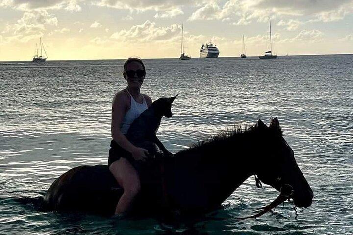 2 Hour Horseback Riding Sunset Tour with Dore's Riding Stable
