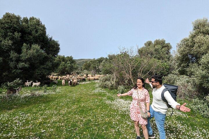 Llogara Caesar's Path,Orikum Park & Marmiroi Church Guided Tour