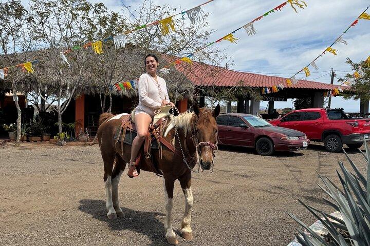 Jungle and Beach Horseback ride Tour in Pacific Coast