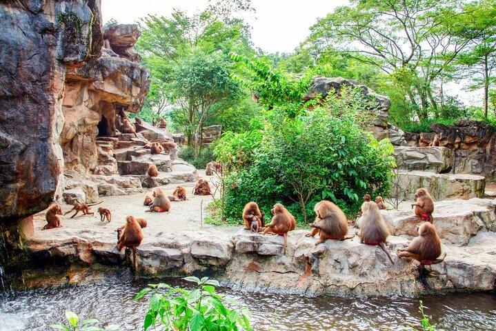 Singapore Zoo