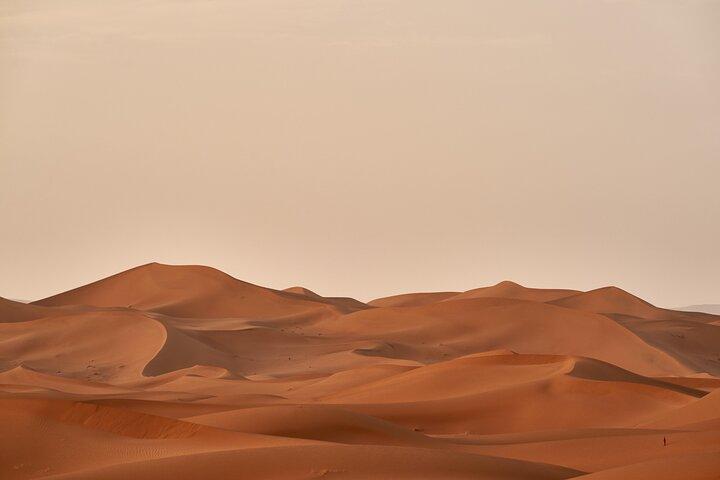 Abu Dhabi Desert Safari: Activities, Live Shows & VIP Area Dining