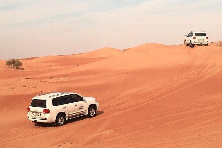 Desert Safari Dubai with BBQ Dinner and Live Shows