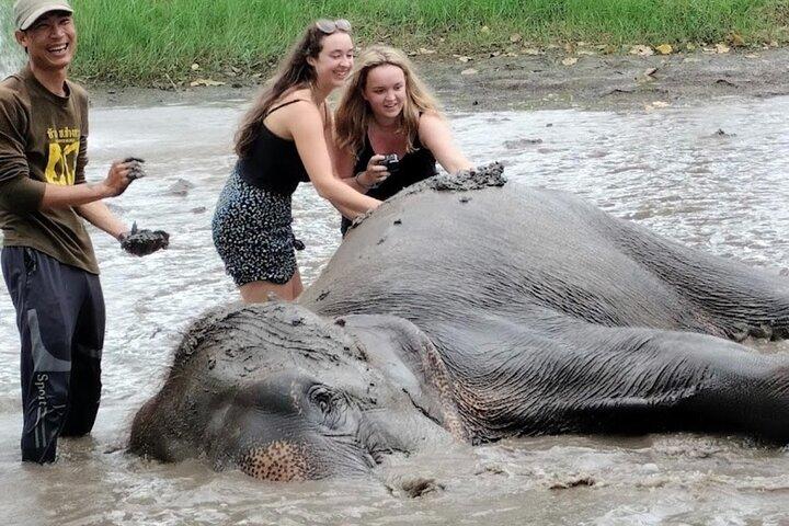 Erawan Waterfall and Elephant care from Bangkok -Private Tour