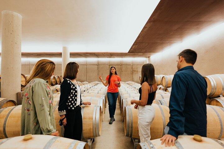 From Milan: Lake Iseo, Bergamo & Franciacorta Wine Tour