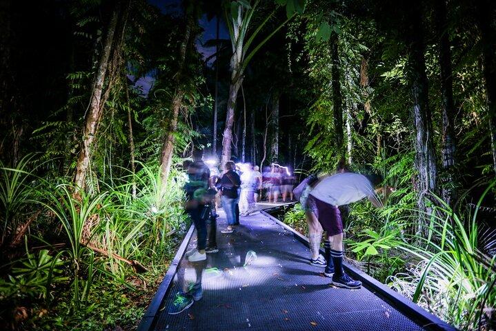 Cairns: Night Wildlife Walk in the Botanic Gardens