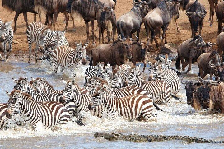 6 Day Camping Safari Small Group Tour