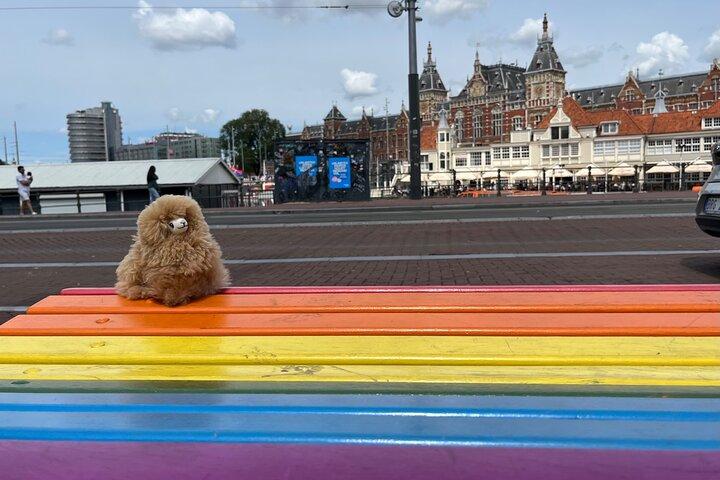 Zaanse Schans Edam Volendam Private Day Tour from Amsterdam