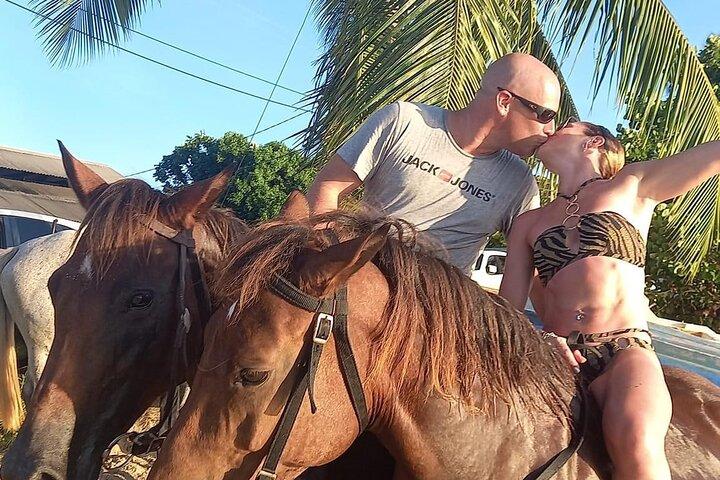 2 Hour Horseback Riding Sunset Tour with Dore's Riding Stable