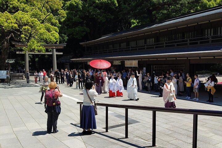 First-Time in Tokyo? Experience the Best with Our Private Tour!