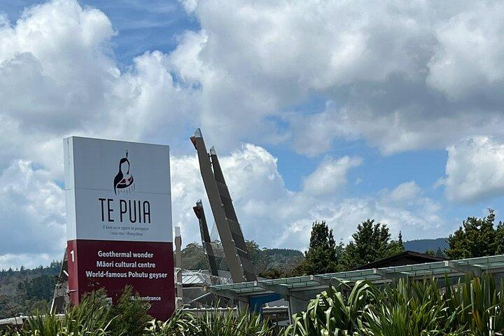 Te Puia Geothermal Wonderland Private Tour From Auckland