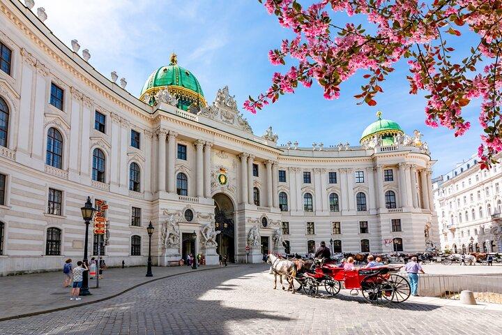 Vienna River Cruise, Walking Tour with St. Stephan Cathedral