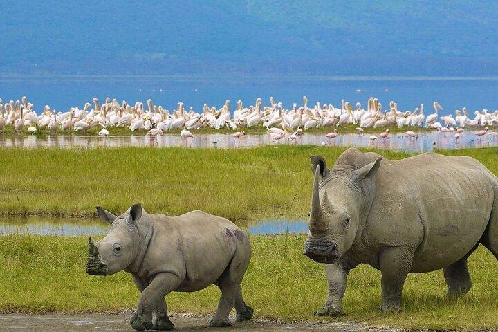 Overnight Safari to Lake Nakuru And Hell's Gate Park