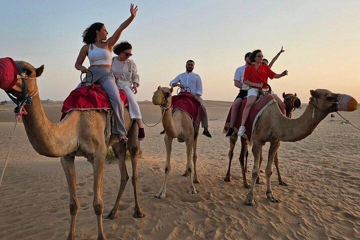 Morning Safari with 30 Minutes Camel Trekking Tour