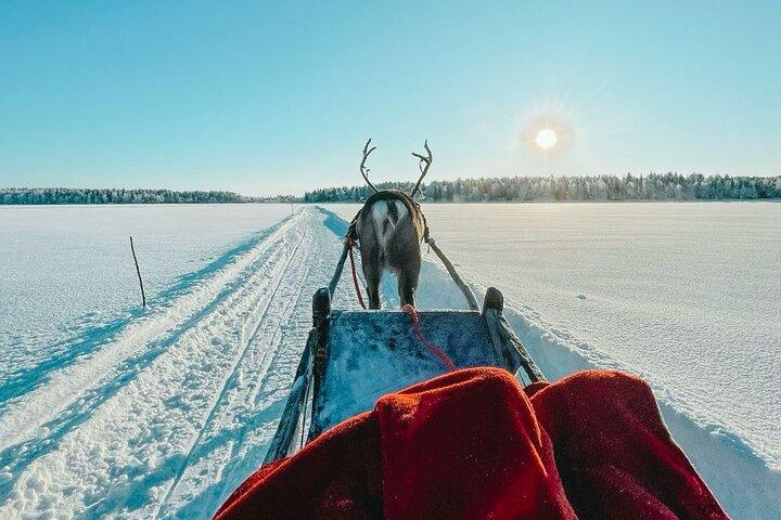 Levi Reindeer Safari - Long or Quick - with Sledge Ride