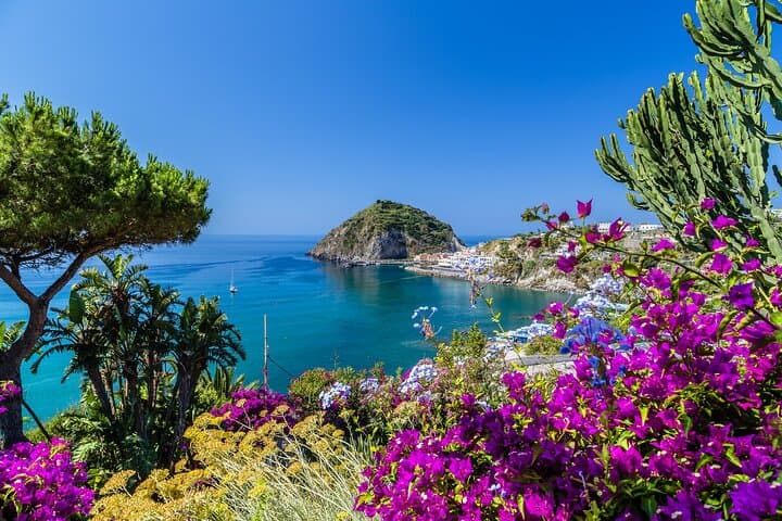 Exclusive Ischia Day Trip & Food Tasting with Top Guide and Driver from Naples