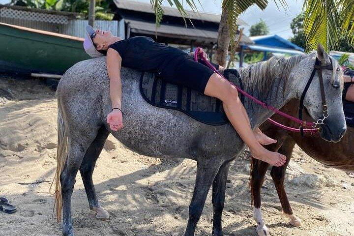 2 hour Beach Ride Horseback Experience with Dore's Riding Stable