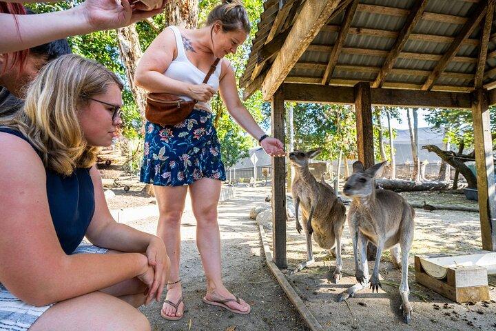 Daintree, Mossman Gorge and Wildlife Tour from Cairns