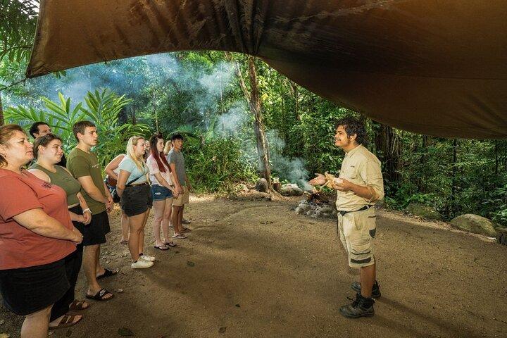 Daintree, Mossman Gorge and Wildlife Tour from Cairns