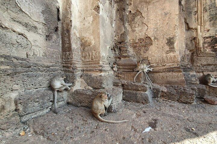 Bangkok to Ayutthaya Lopburi Monkey Temple, Largest Buddha Tour