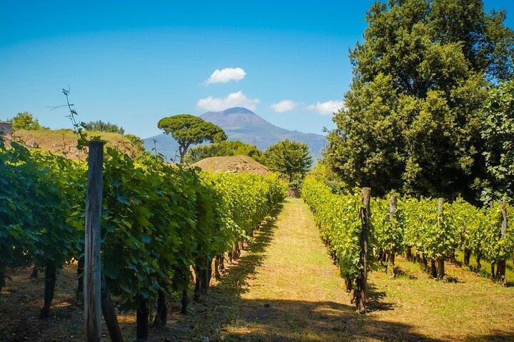 Private Pompeii Tour and Vineyard Lunch on the Slopes of Vesuvius