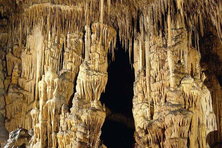 Half Day Tour Bus to the Caves of Drach