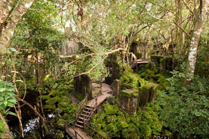 Excursion Koh Ker and Beng Mealea Day Tour