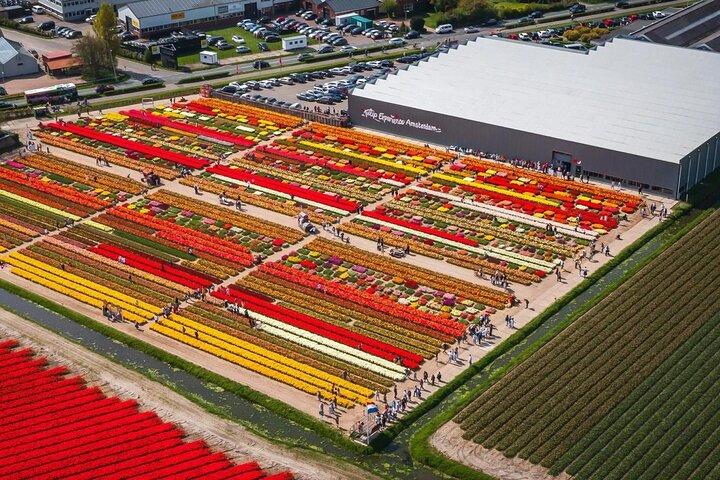 5 Hours Private Tulip Experience at Keukenhof Gardens