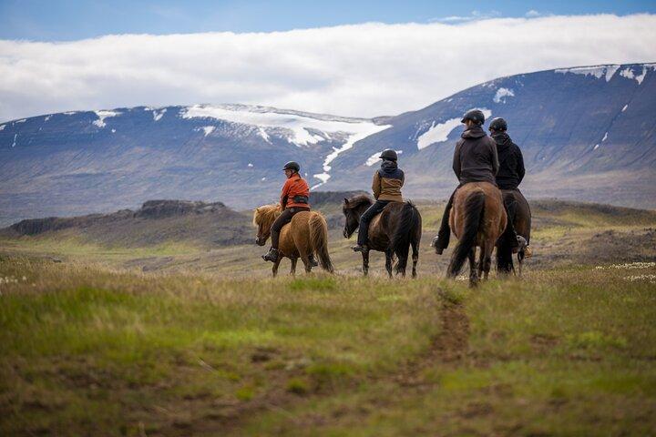 The Viking Horse Riding Experience in North Iceland