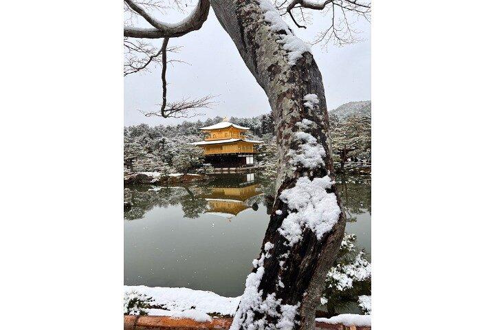 Full Day Private Car Tour in Kyoto