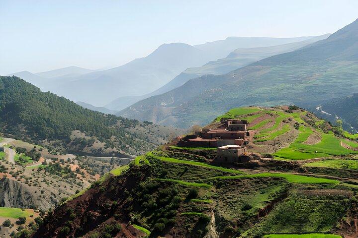 Marrakech: Atlas Mountains, Ourika Valley, Waterfall & Lunch