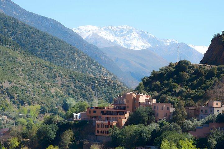 Marrakech: Atlas Mountains, Ourika Valley, Waterfall & Lunch