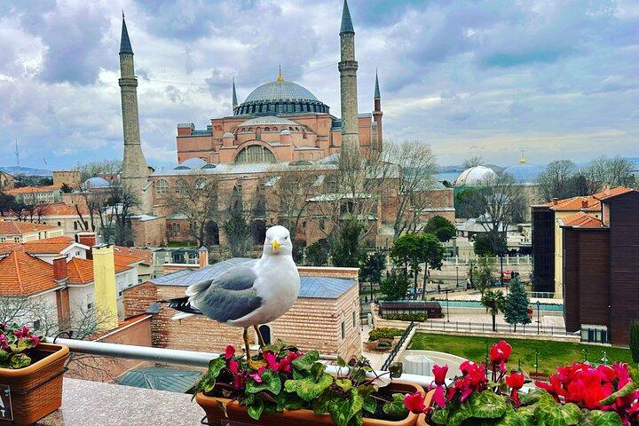 Istanbul Private Tour: Skip Lines, Hidden Gems, Local Expert