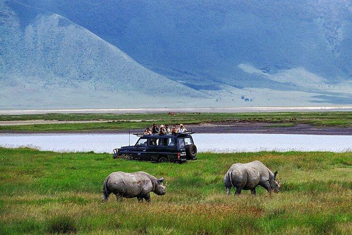 8-Day Private Luxury Wildlife Safari in Tanzania