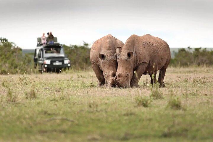 3Days Solio Ranch & Aberdares National Park Luxury Safari on Jeep