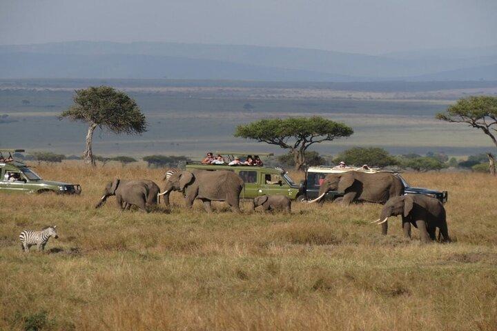 3Days Solio Ranch & Aberdares National Park Luxury Safari on Jeep