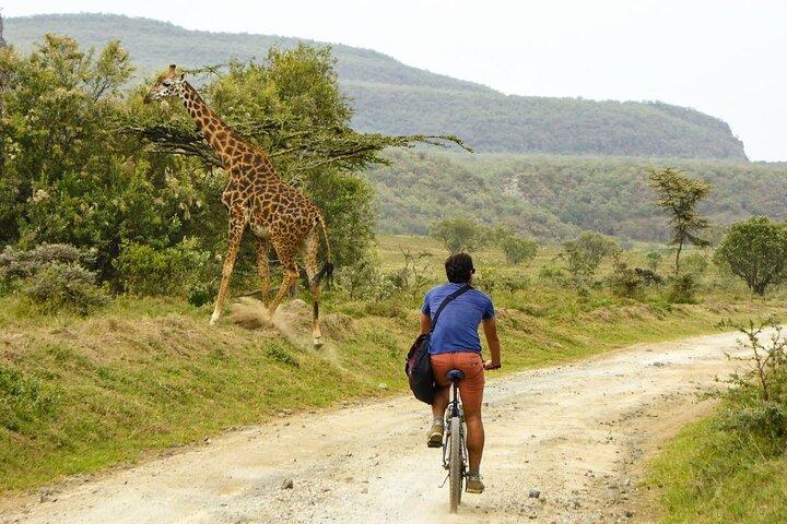 2 Days Lakes Nakuru and Naivasha with Hells Gate Tour