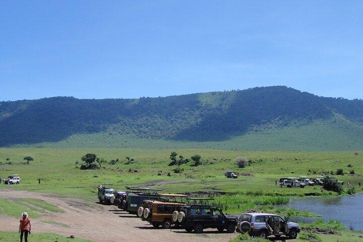 Private Ngorongoro Crater Day Trip Safari from Arusha