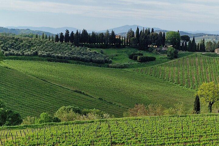 Private Wine Tour 2 top wineries of Chianti Classico Limo Service