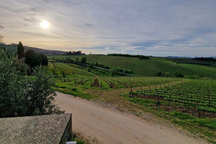 Private Wine Tour 2 top wineries of Chianti Classico Limo Service