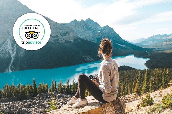 Icefields Parkway Small Group Tour with Peyto Lake and Lunch