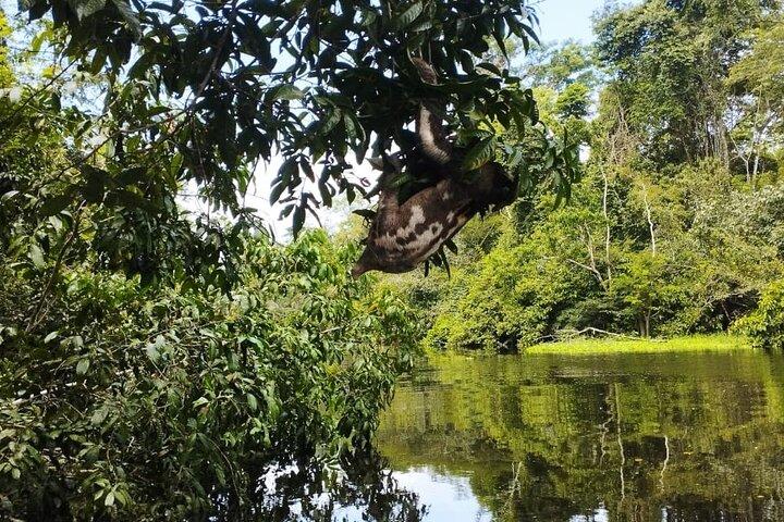 Amazing Jungle 3Days 2Nights - Amazon Wonder Expeditions