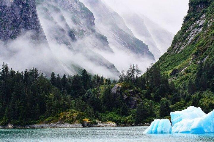 Juneau Tracy Arm–Fords Terror Wilderness Area & Glacier Explorer