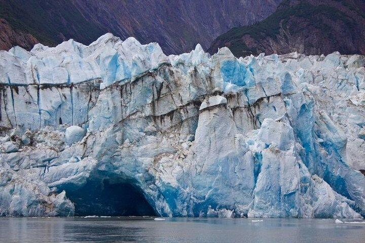 Juneau Tracy Arm–Fords Terror Wilderness Area & Glacier Explorer
