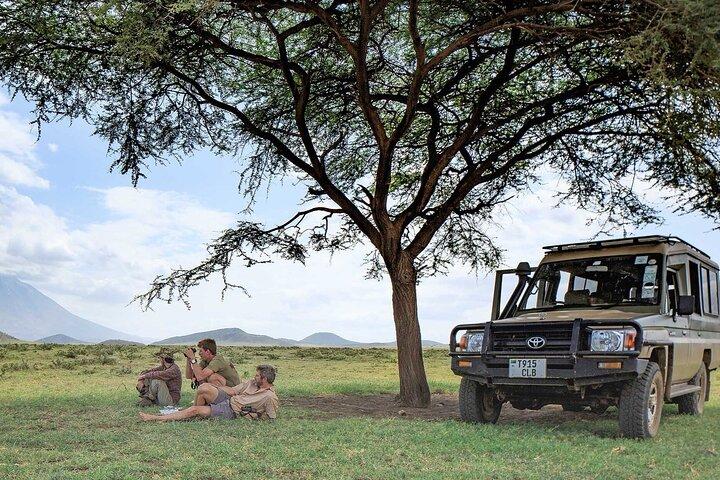 5-Day Fly-In Wildebeest Migration River Crossing from Arusha