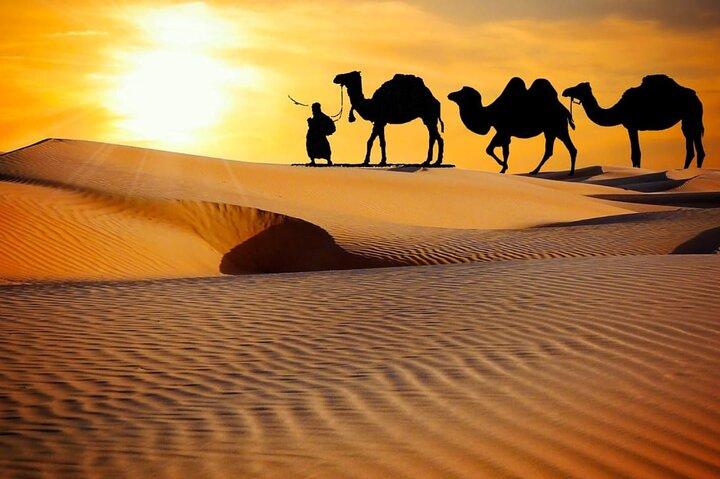 Thrilling dune bashing with VIP Desert camp delicious BBQ & shows